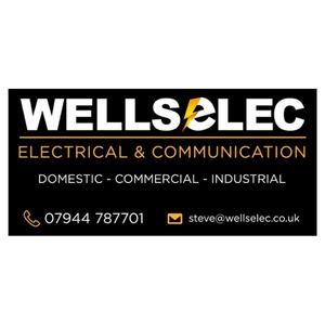 Wellselec Logo